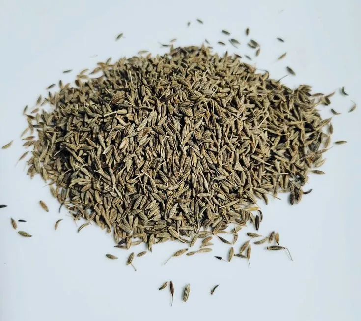 Egyptian Cumin Seeds